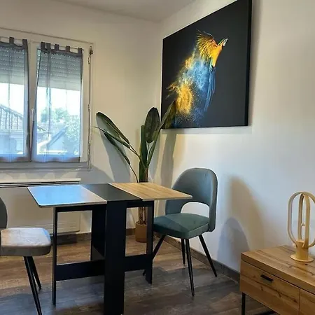 Nid Douillet Sous Les Toits Apartment Pau Exterior photo